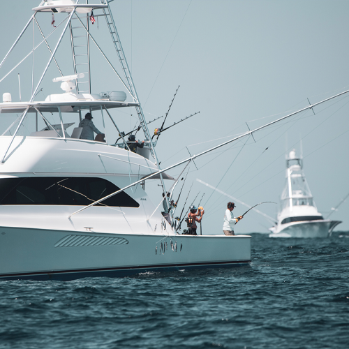 Bluewater Movements Announces New State Wide Billfish Tournament, The Florida Sailfish Cup